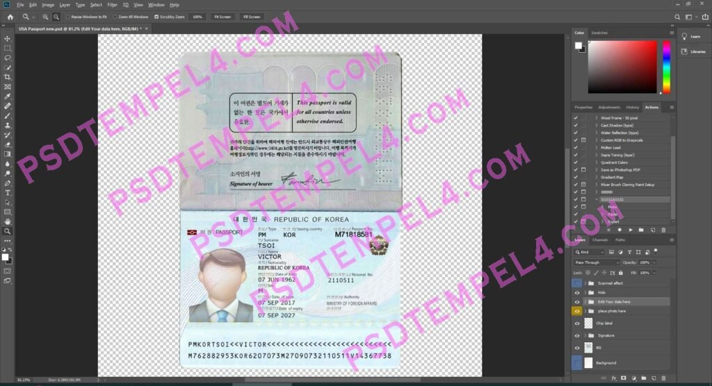 South Koera Passport 2 version