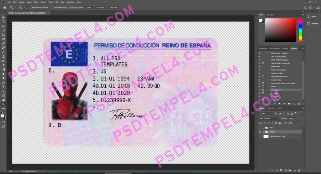 Spain Driver License 2 version