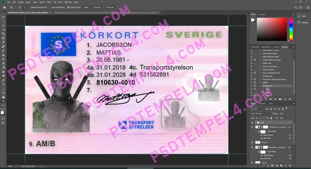 Sweden Driver License 2 version