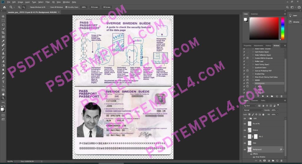 Sweden Passport 2 version