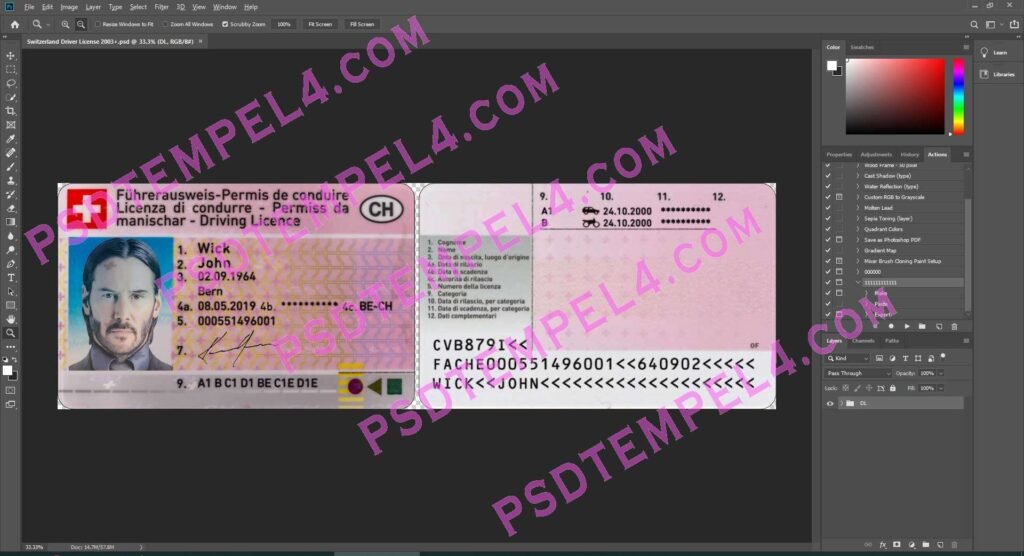 Switzerland Driver License 2 version
