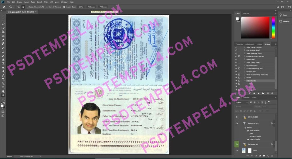 Syria Passport 2 version