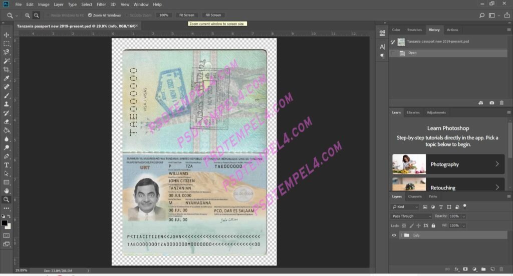 Tanzania Passport V2