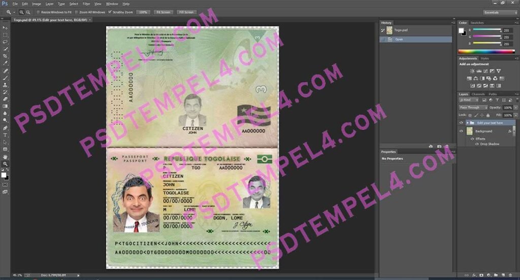 Togo Passport