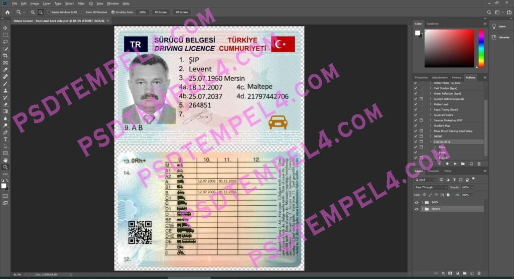 Turkey Driver License 2 version
