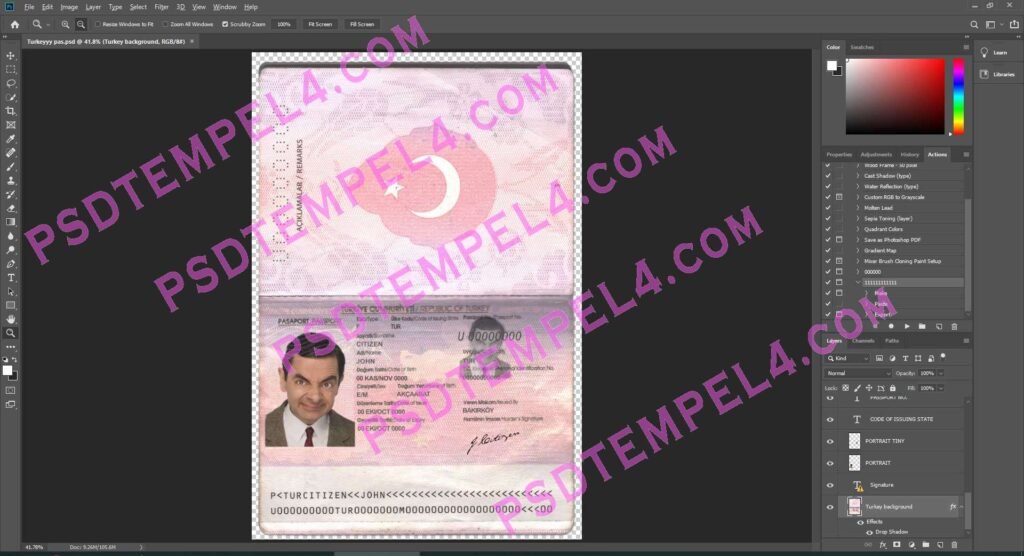 Turkey Passport 2 version