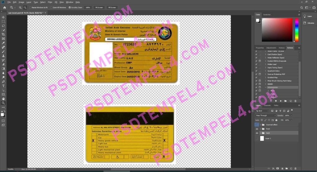UAE United Arab Emirates Driver License 2 version