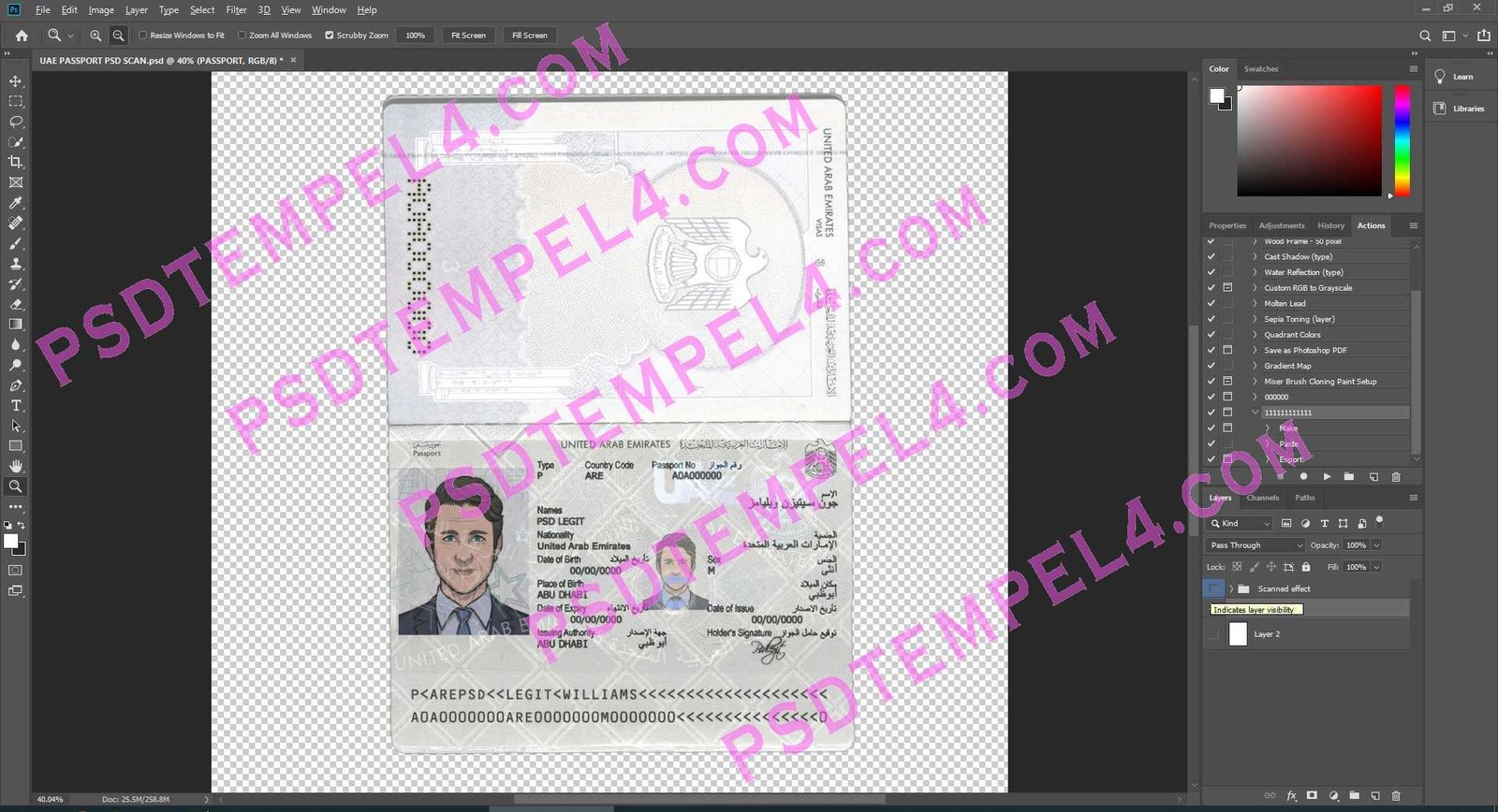 UAE United Arab Emirates Passport 2 version