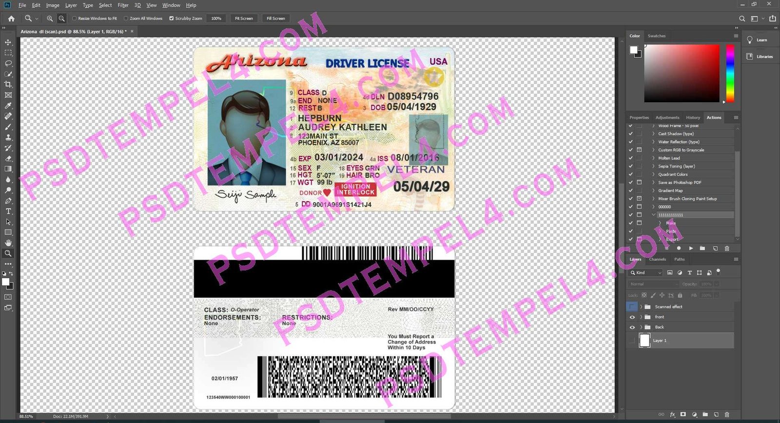 USA Arizona Driver License 2 version