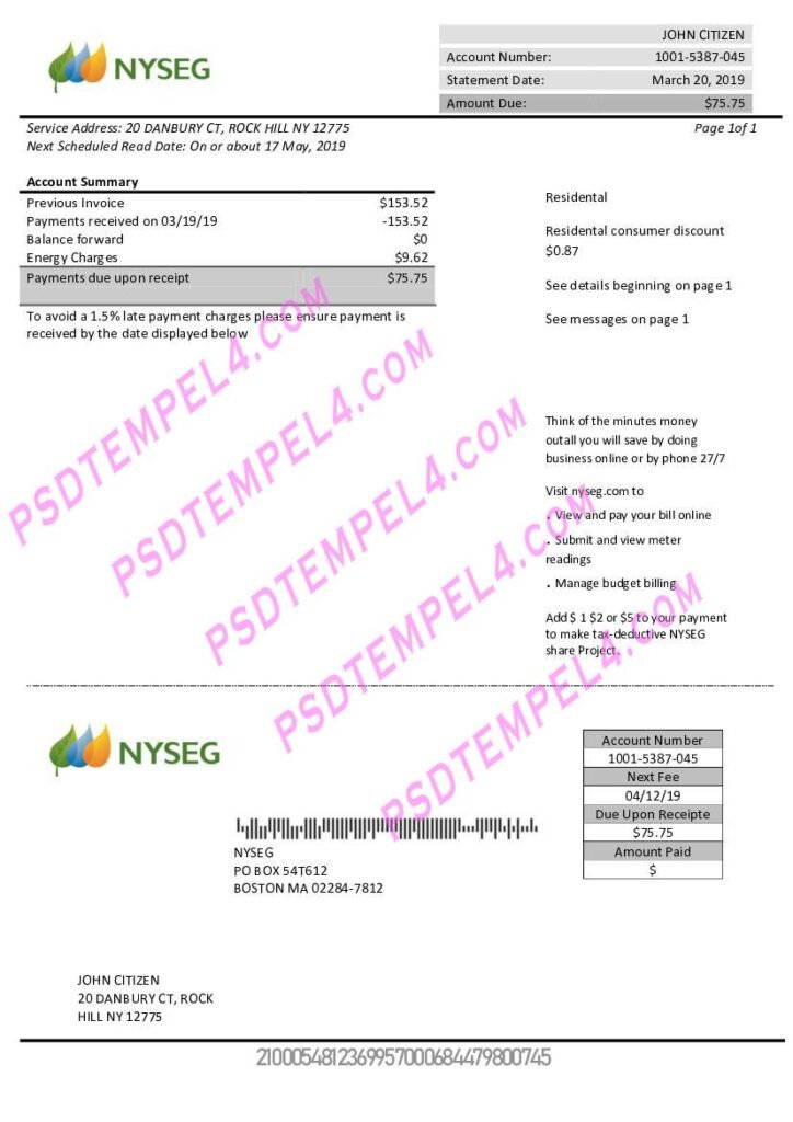 USA Newyork NYSEG electricity utility bill