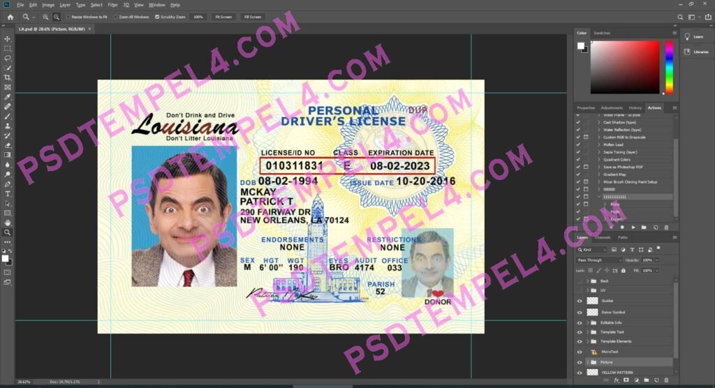 USA Louisiana Driver License 2 version