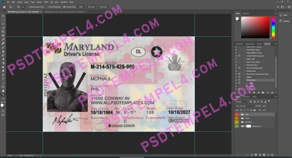 USA Maryland Driver License 2 version