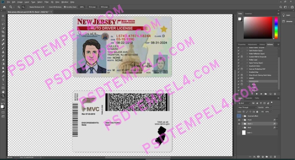 USA New Jersey Driver License 3 version
