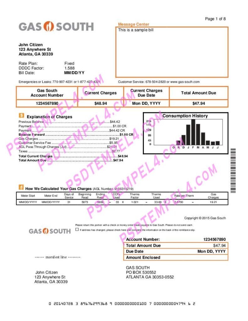 USA New York Gas South utility bill