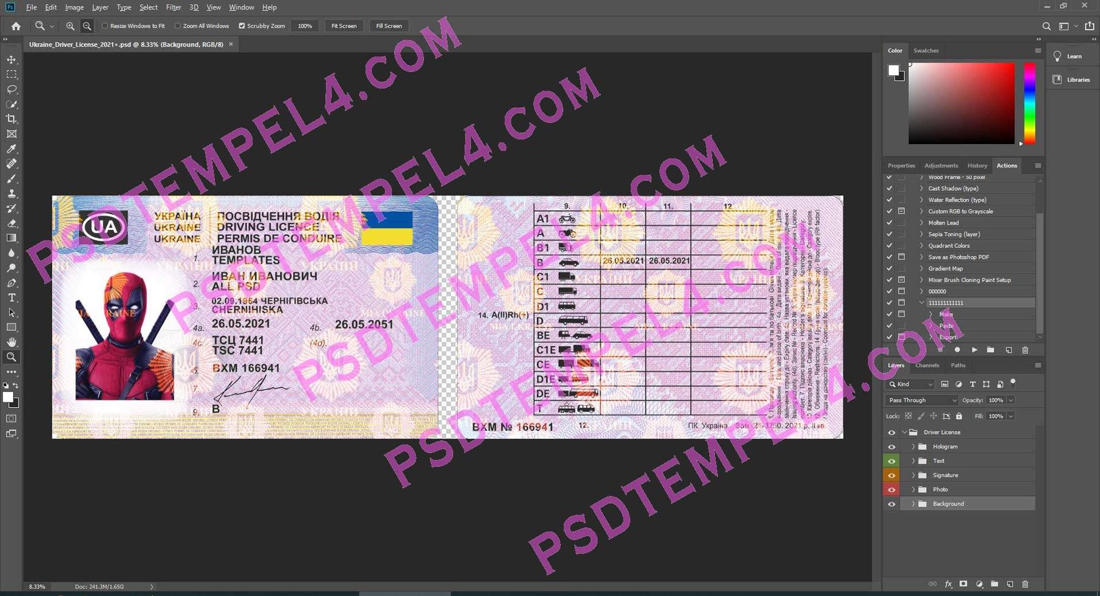 Ukraine Driver License 3 version - Image 2