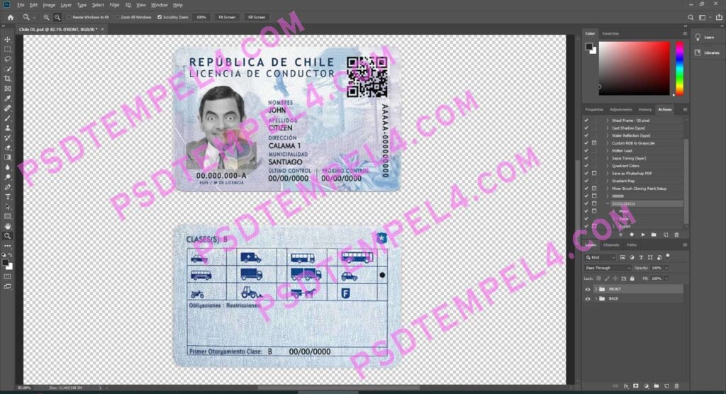 chile Driver License