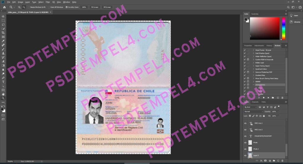 Chile Passport