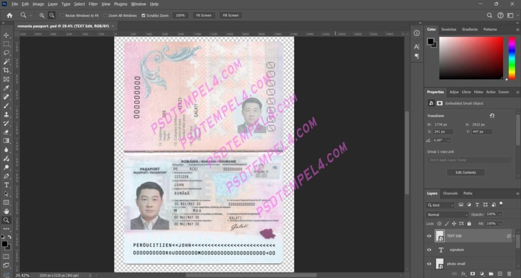 Romania passport V5 NEW